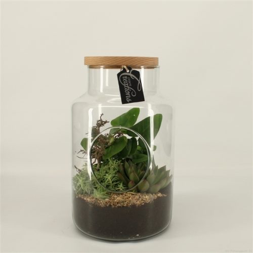 Grcr-2042 green creations	-	2	-	Adet
