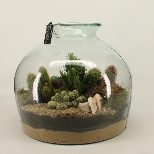 Arrangementen cactus h%	-	1	-	Adet