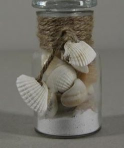 Shell Mix-glass Bottle Mini - Decoratiemateriaal (h%)