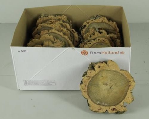 Cork Slices  D:19-21cm - Decoratiemateriaal (h%)