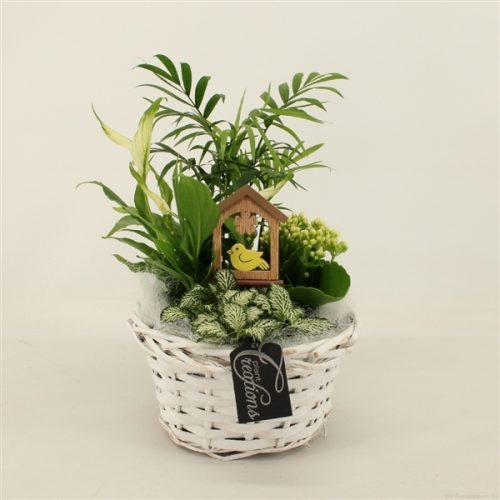 Bacr-2012w basic creatie	-	3	-	Adet