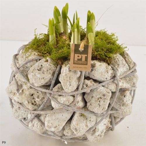 Arrangementen tete a tete l%	-	4	-	Adet