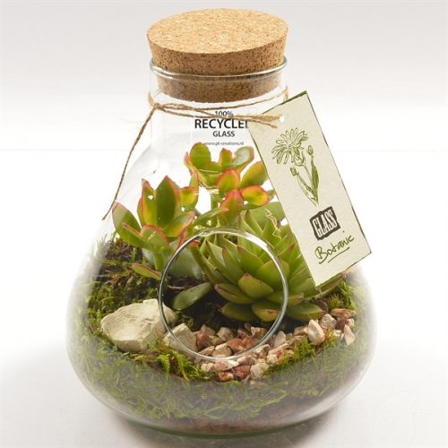 Arrangementen kamerplanten h%	-	4	-	Adet