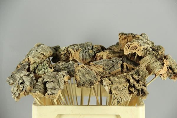 Stick Cork Natural - Decoratiemateriaal (h%) 1 Stick Cork Natural - Decoratiemateriaal (h%)