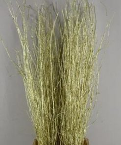 Betula Bs Pnt+glitt Gold Fst - Betula kleurbehandeld goud h%