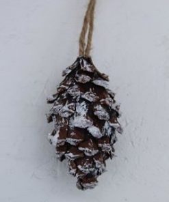 Pine cone 11cm hanging - Pine cone 11cm hanging