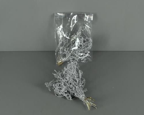 Cannella silver bs - Cannella silver bs