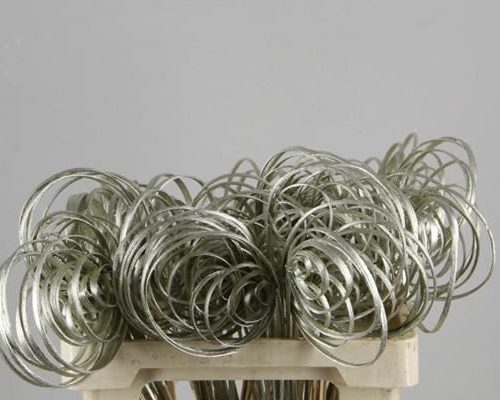 Stem Cane Coil Platinum - Decoratiemateriaal (h%)