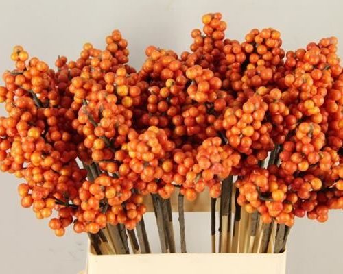 Stick Berries Ilex Orange - Decoratiemateriaal (h%)
