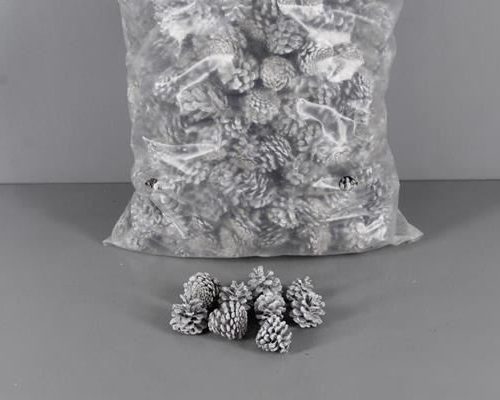 Pine Cone Whitewash (bag 5kg) - Dennenappel h%