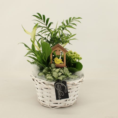 Bacr-2012w basic creatie	-	3	-	Adet