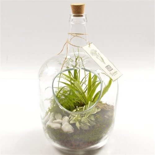 Ptgb 6016	-	2	-	Adet