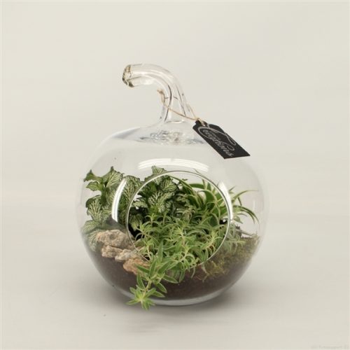 Grcr-2040 green creations	-	2	-	Adet