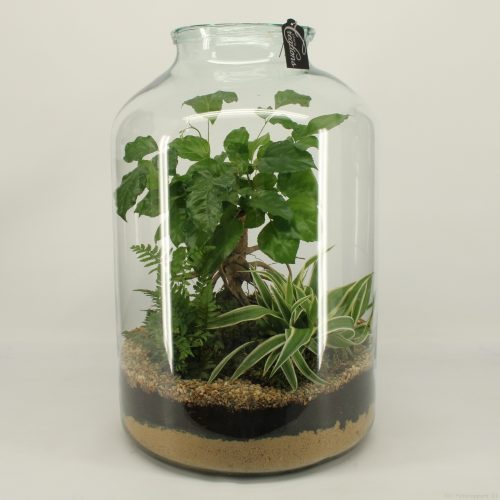 Grcr-2054 green creations	-	1	-	Adet