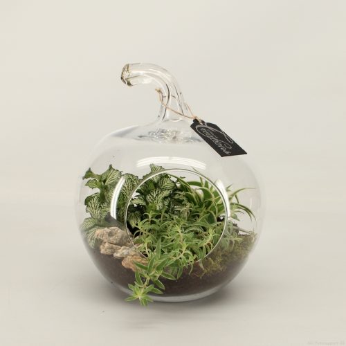 Grcr-2040 green creations	-	2	-	Adet