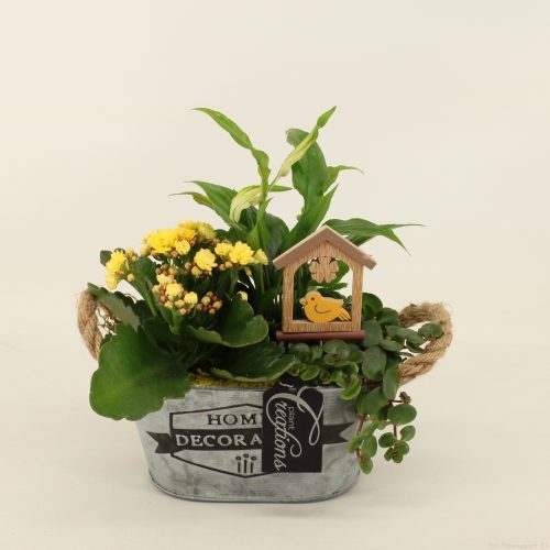 Bacr-2017g basic creatie	-	6	-	Adet