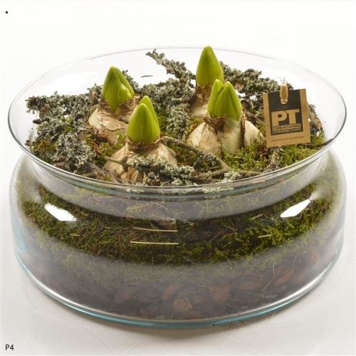 Pthcg 5880	-	2	-	Adet