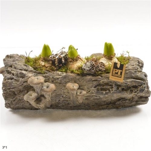 Pthcb 4758	-	3	-	Adet