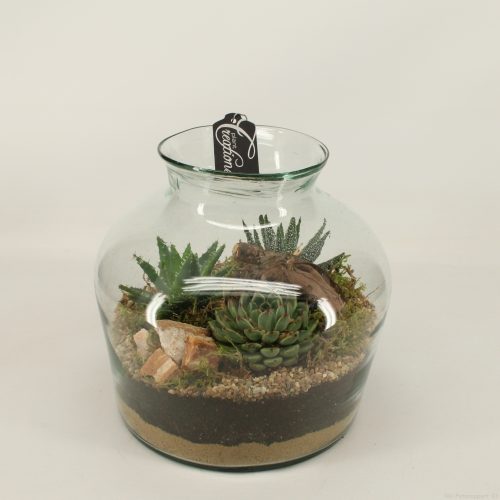 Vetplanten arrangement	-	1	-	Adet