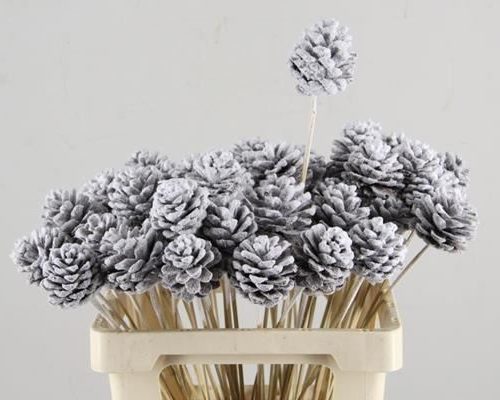 Stick Pine Cone Snow - Dennenappel h%