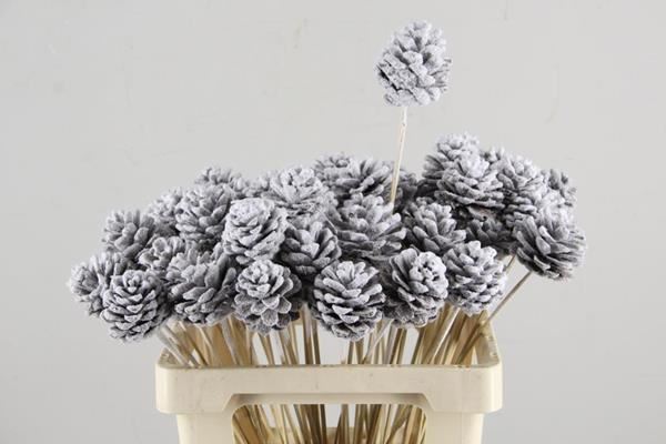 Stick Pine Cone Snow - Dennenappel h% 1 Stick Pine Cone Snow - Dennenappel h%