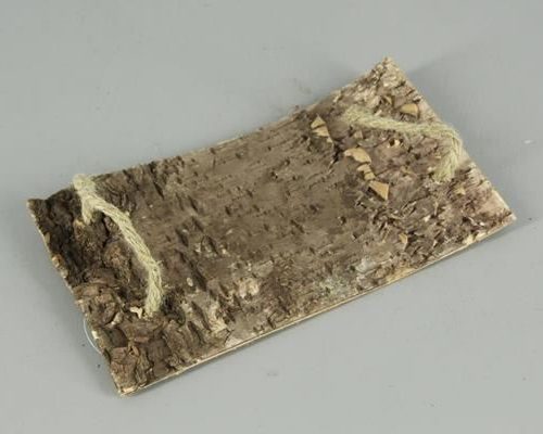 Birch Bark Slice+rope 30x19cm - Decoratiemateriaal (h%)