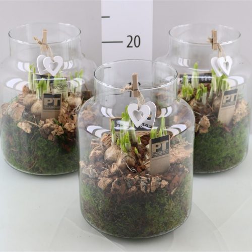 Arrangementen tete a tete l%	-	3	-	Adet