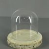 Glass Bell+birch Ø16/h16cm - Decoratiemateriaal (h%) 3 Glass Bell+birch Ø16/h16cm - Decoratiemateriaal (h%) 2