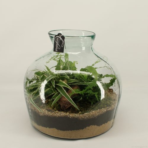 Grcr-2052 green creations	-	1	-	Adet