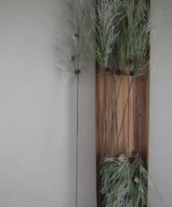 Stem pinus+pine cones snow - Stem pinus+pine cones snow