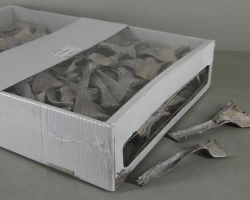 Dd agave mini whitewash box - Dd agave mini whitewash box