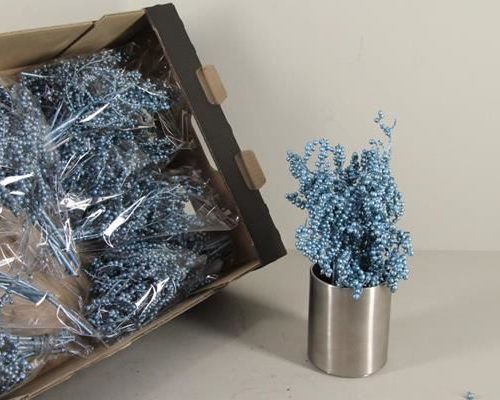 Cannella l.blue metalic bs - Cannella l.blue metalic bs