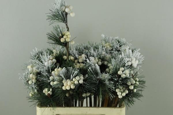 Stick Berries White/pinus+snow - Decoratiemateriaal (h%) 1 Stick Berries White/pinus+snow - Decoratiemateriaal (h%)