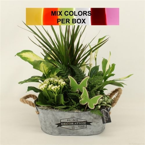 Bacr-2019m basic creatie	-	3	-	Adet