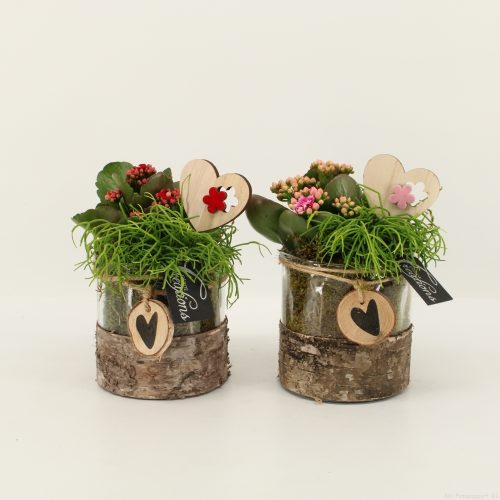 Rmcr-2012 romantic creations	-	4	-	Adet