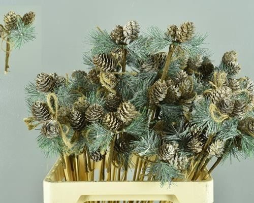 Stick Cone+rope Whitewash - Decoratiemateriaal (h%)