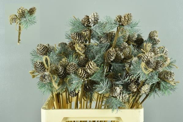 Stick Cone+rope Whitewash - Decoratiemateriaal (h%) 1 Stick Cone+rope Whitewash - Decoratiemateriaal (h%)
