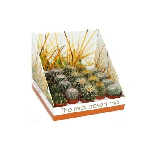Cactus mix bol rd11
