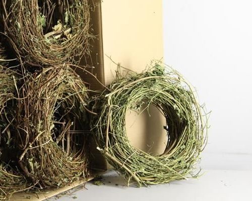 Wreath hop branches - Wreath hop branches