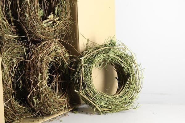 Wreath hop branches - Wreath hop branches