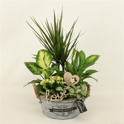 Barm-2018w basic romantic	-	3	-	Adet