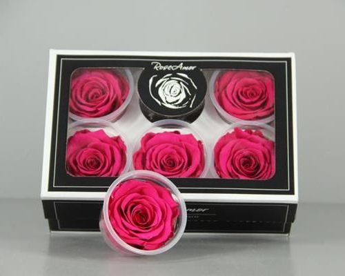 Preserved Rosa Xl Pin 03 - Rozen gr. vendela verf blauw