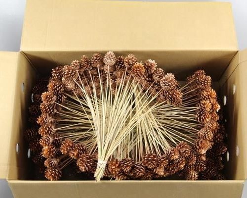 Stick Pine Cone Copper+glitter - Dennenappel h%