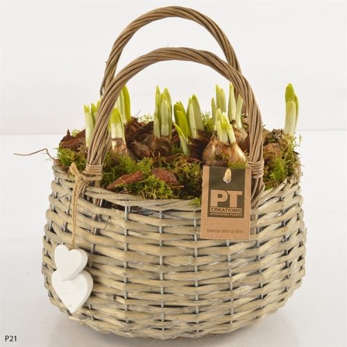 Arrangementen tete a tete l%	-	4	-	Adet