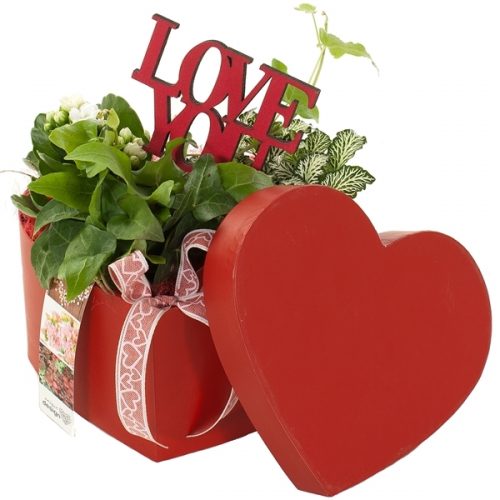 Udv2010 hoedendoos hartvorm m	-	2	-	Adet