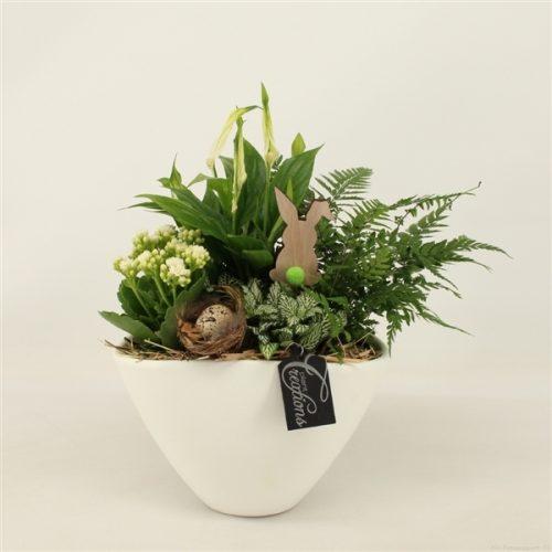 Baps-2010gr basic pasen	-	3	-	Adet