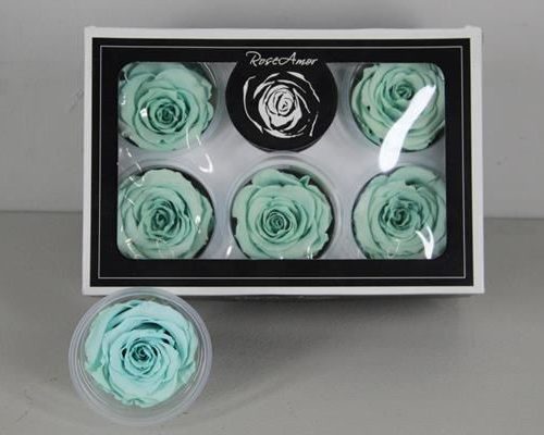 Preserved Rosa Xl Blu 02 - Rozen gr. vendela verf blauw