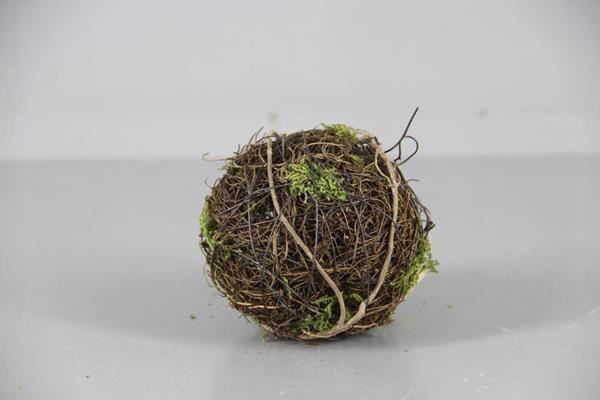 Ball Rattan/mos Ø10cm - Mos 21% 1 Ball Rattan/mos Ø10cm - Mos 21%