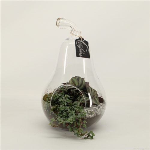 Grcr-2039 green creations	-	2	-	Adet
