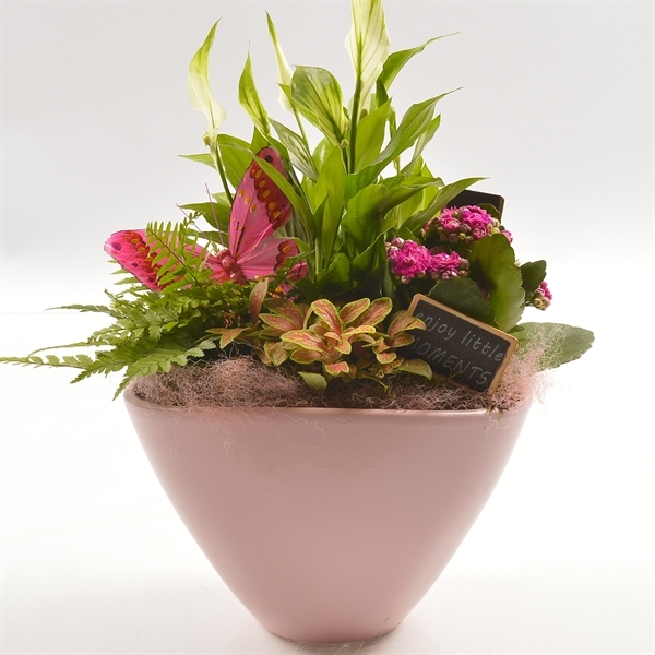 Arrangementen keramiek ovaal tcc 107 - 3 - Adet